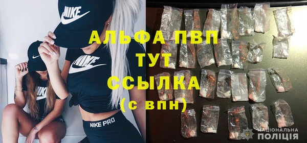 стаф Снежногорск