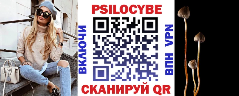 закладки  Нижняя Салда  Галлюциногенные грибы прущие грибы 
